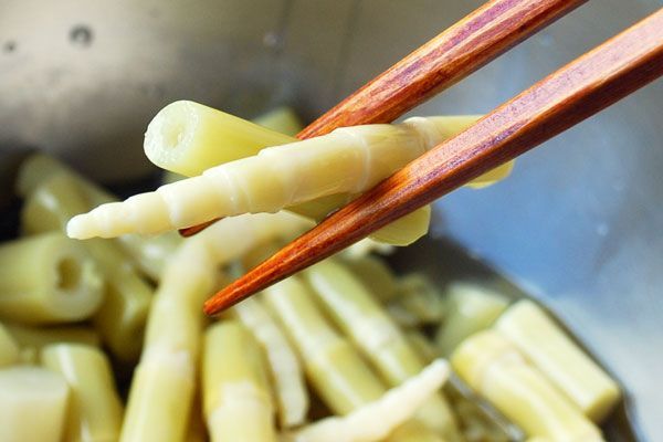 令和7年　秋田県　ネマガリダケ　缶詰　10個セット 令和7年 秋田県 ネマガリダケ 缶詰 10個セット