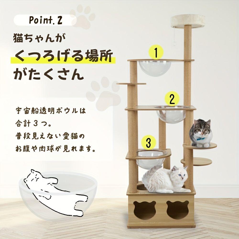 スタンドアロン マルチキャット