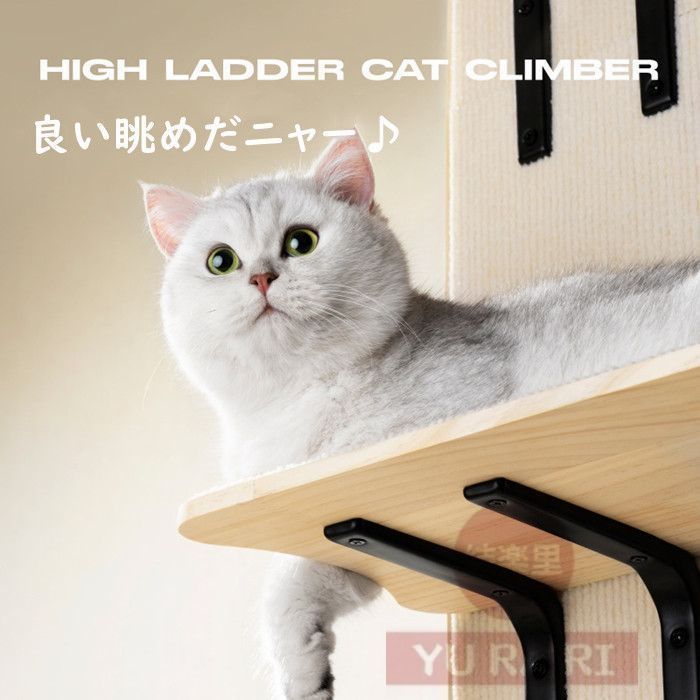 キャットステップ ドア掛け