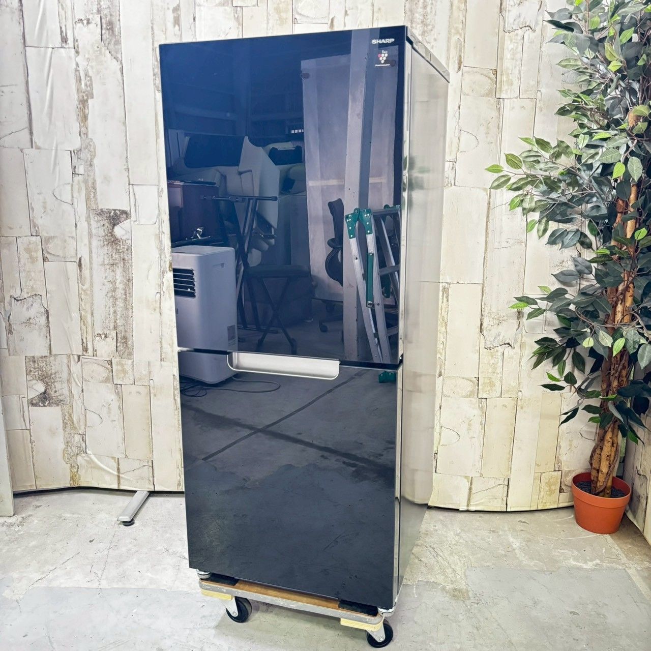 製 SHARP シャープ SJ-GD15P-B ノンフロン冷凍冷蔵庫 152L WWW_KANDAIZUMI_COM