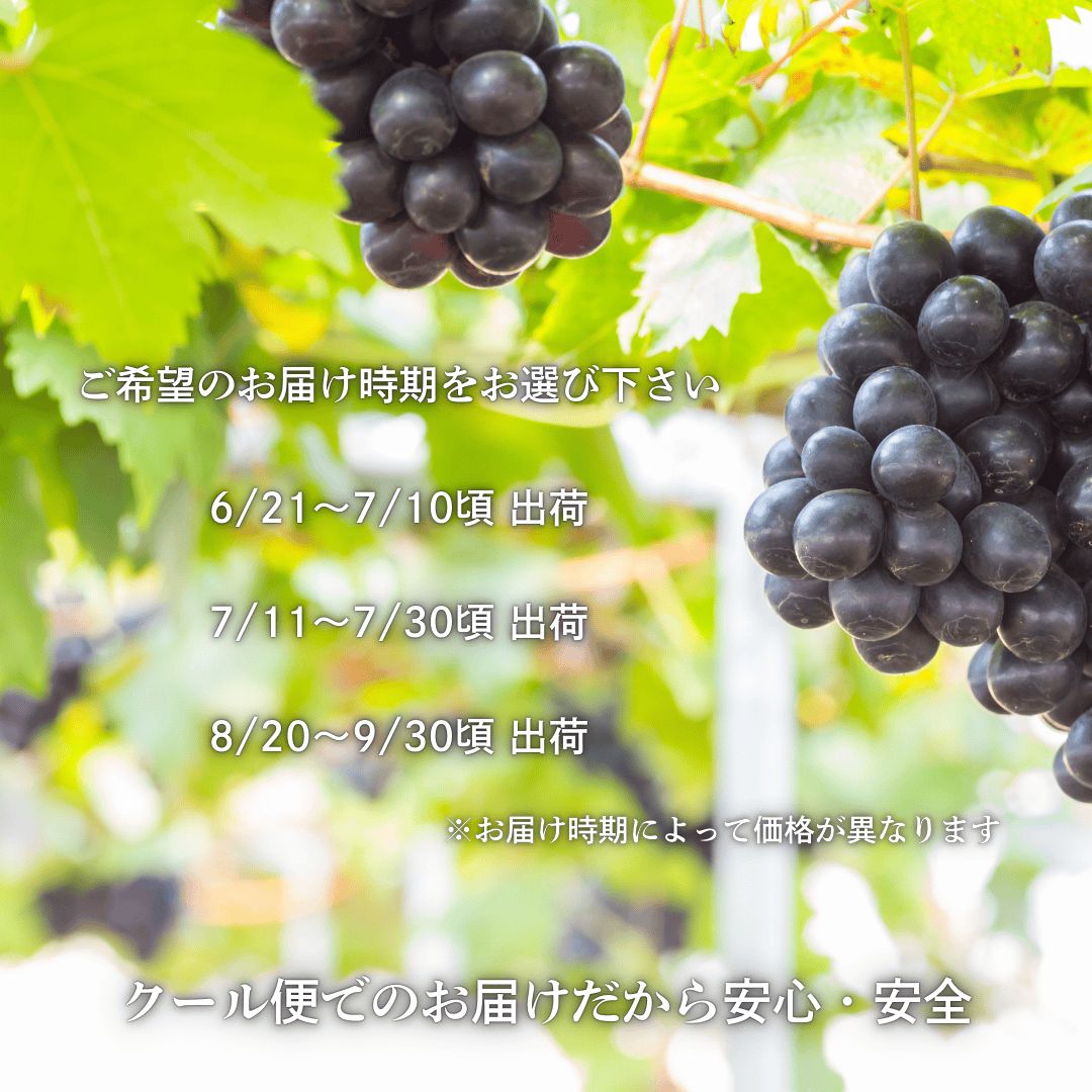 果物セット