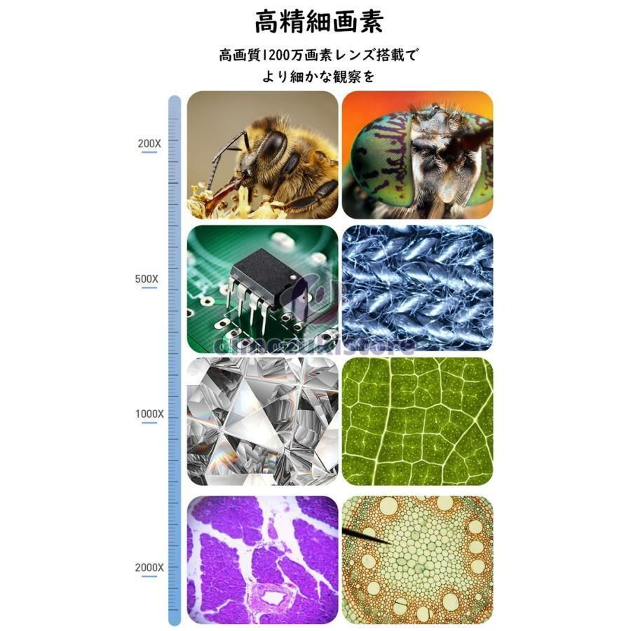 高校生