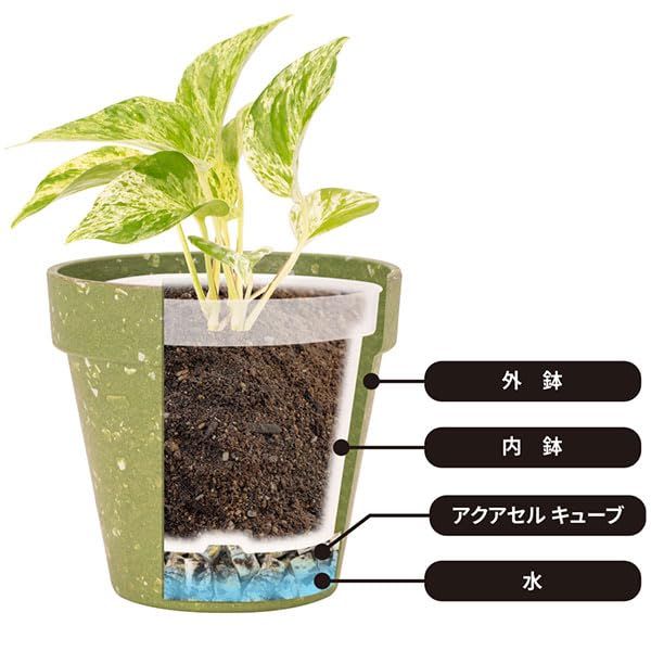 H1×D1×W1cm 水管理ラクラク