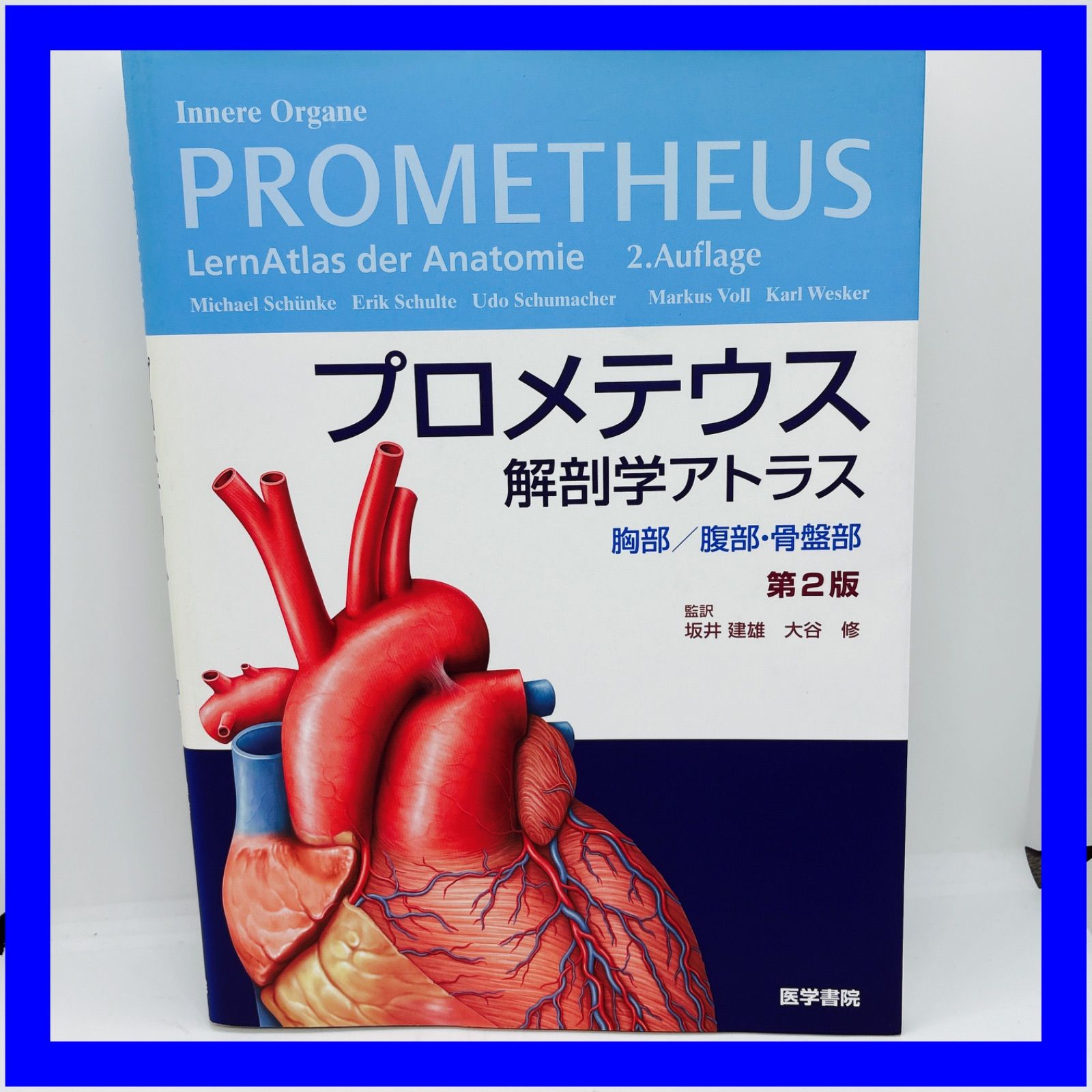 プロメテウス解剖学アトラス 胸部/腹部・骨盤部 プロメテウス解剖学アトラス 胸部/腹部・骨盤部 第3版 | 坂井