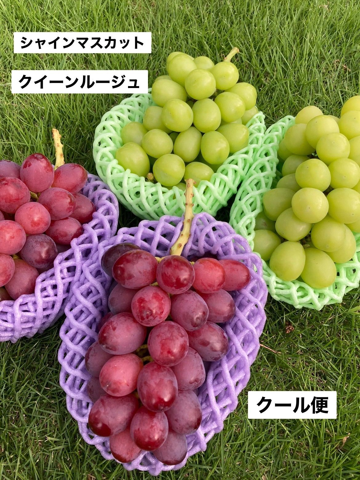 信州産シャインマスカットふた房 隙間におまけプレゼント シャイン