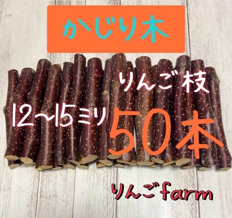 かじり木 りんご枝 ご予約品 - その他