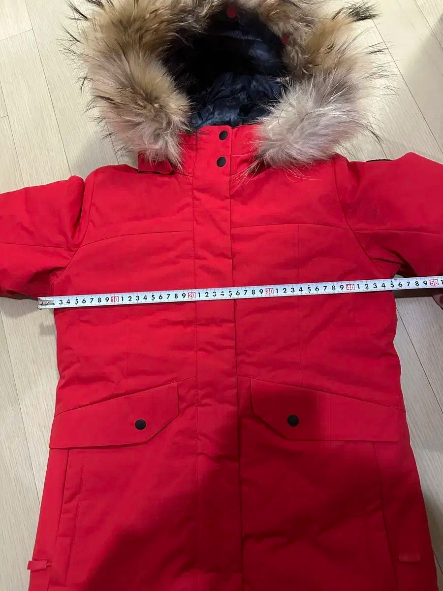 アンタークティカ