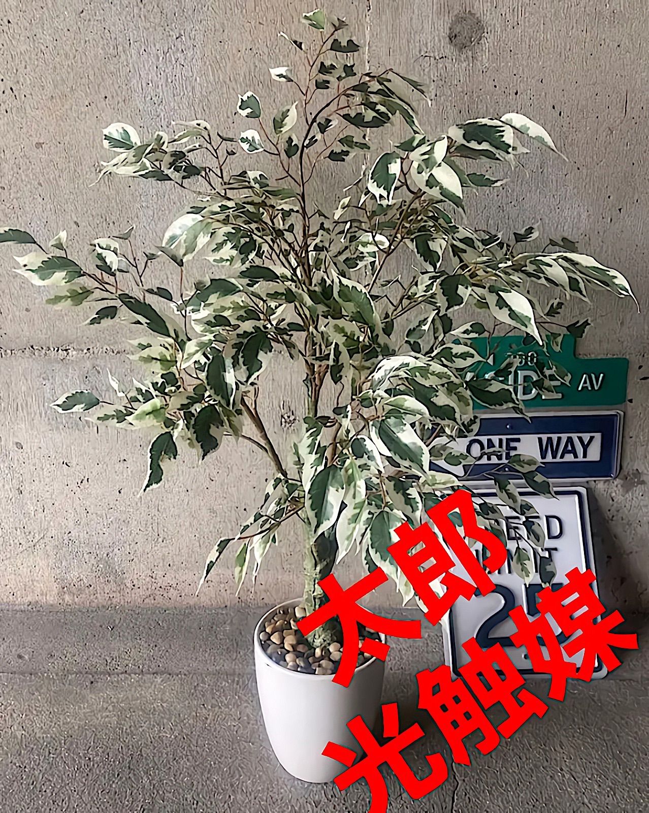 油絵 「6月のジベルニー」F100号 モネ 花 絵画