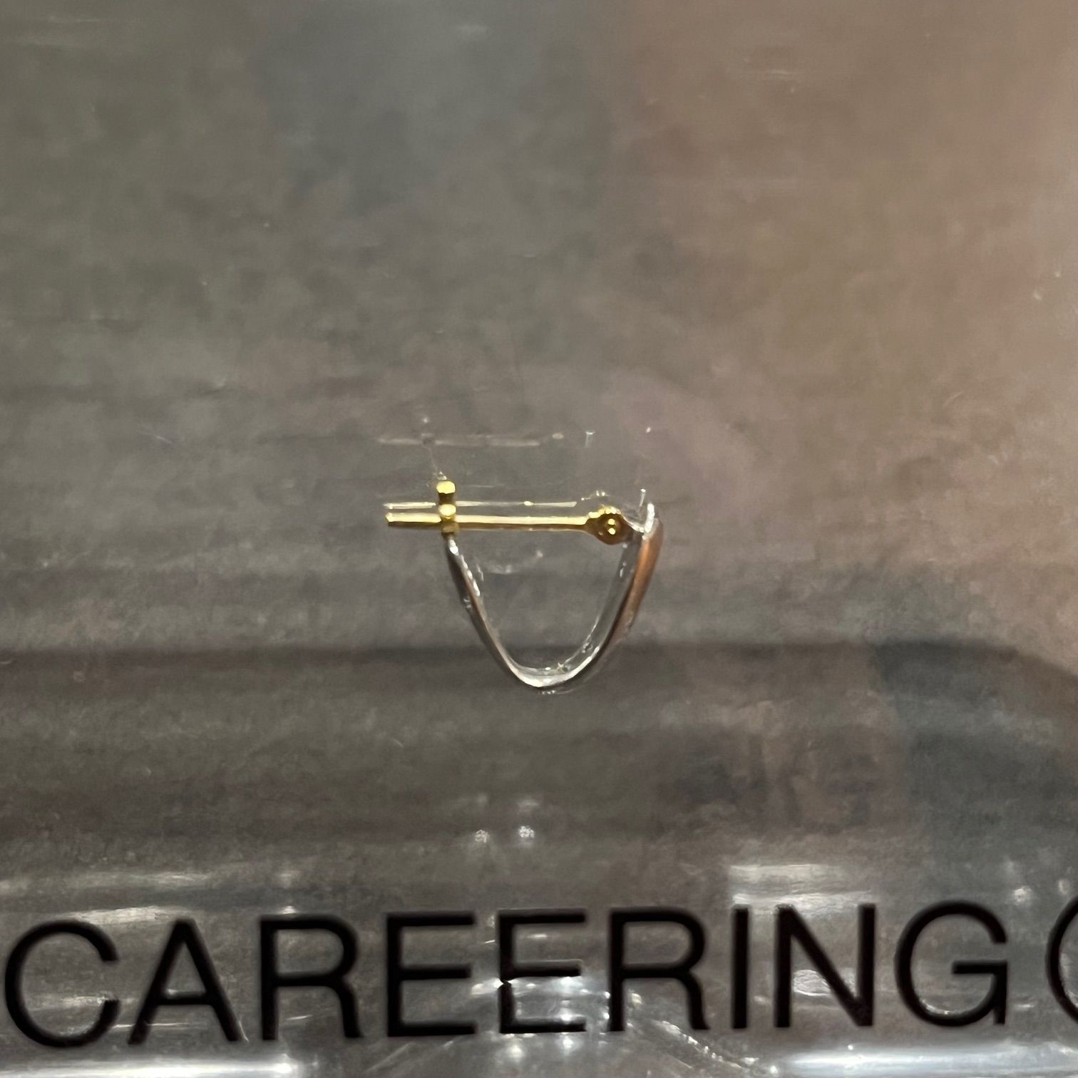 定価29700円 新品 CAREERING シルバー ピアス HF002 CH002R