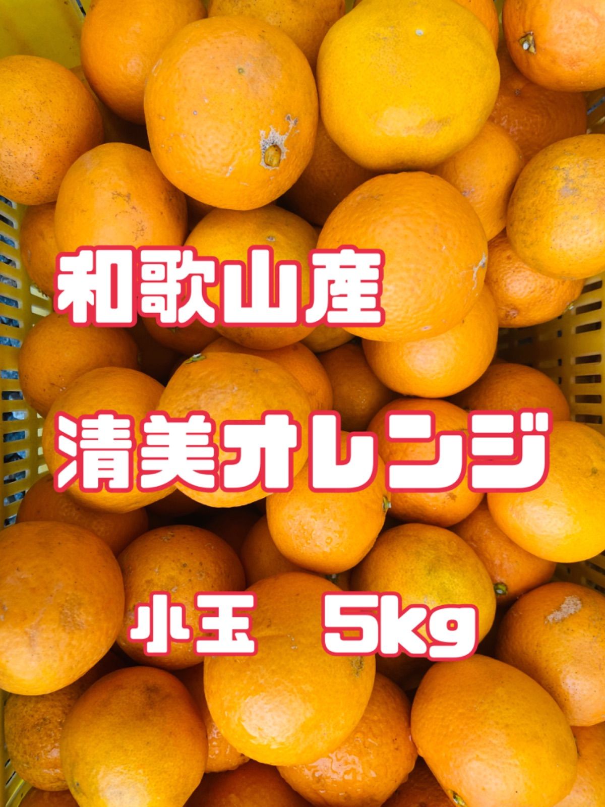 ⭐︎和歌山産⭐︎ 清見 オレンジ 5kg 訳あり 清美 きよみ 柑橘 みかん