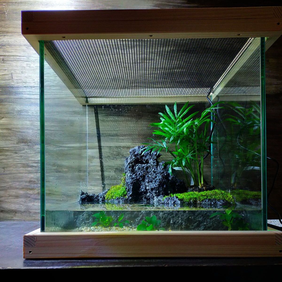 滝の流れるアクアテラリウム イモリウム No.871 魚用品・水草