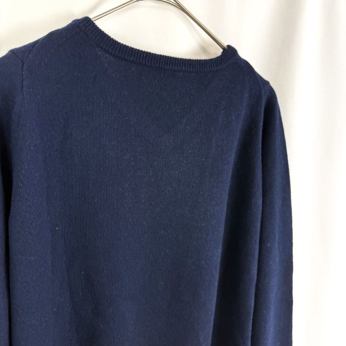 ドレステリア DRESSTERIOR ニット カシミヤ Vネック 無地 シンプル 