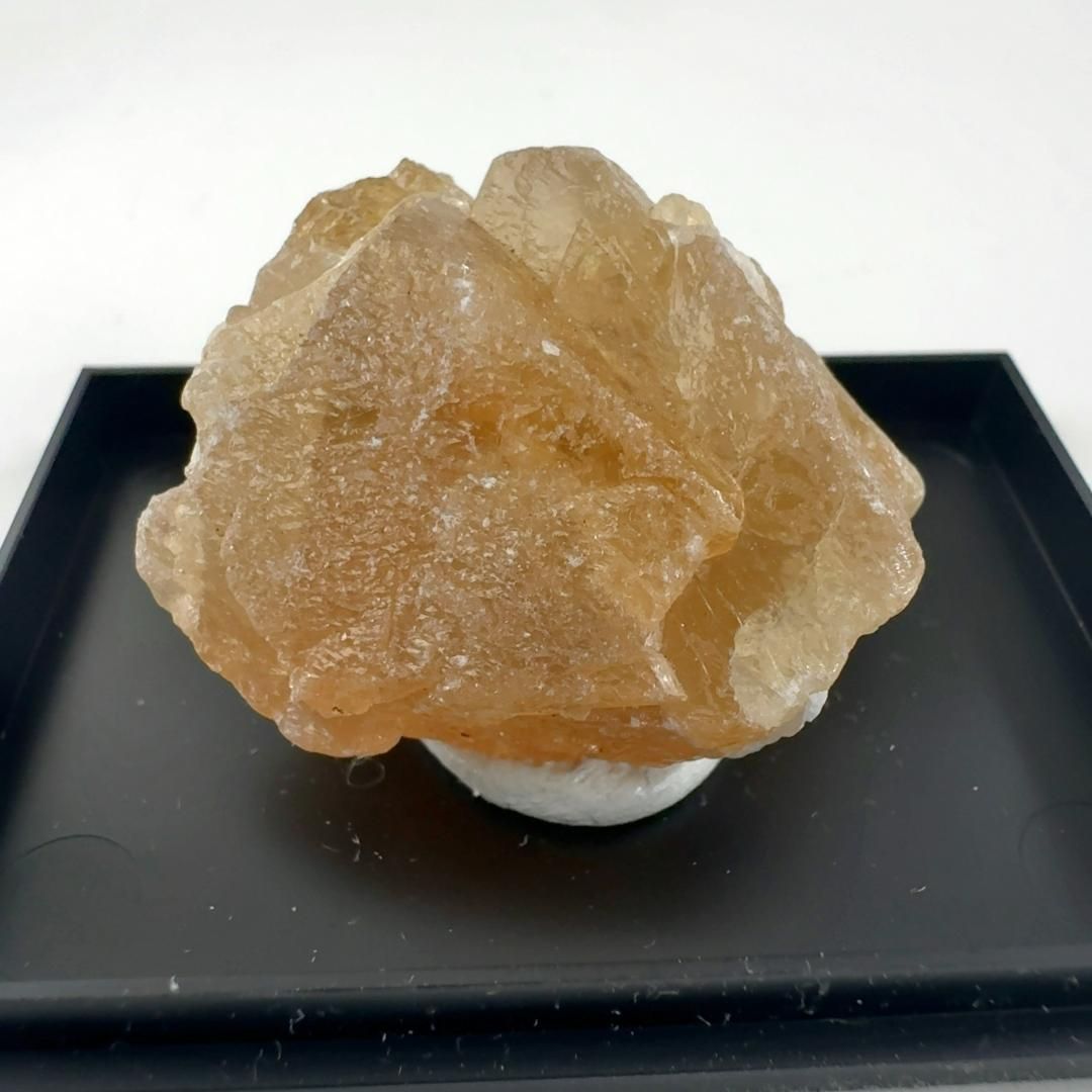 パーフォマックス 注文 ウォーターヒヤシンス 壁掛シェルフ ライト