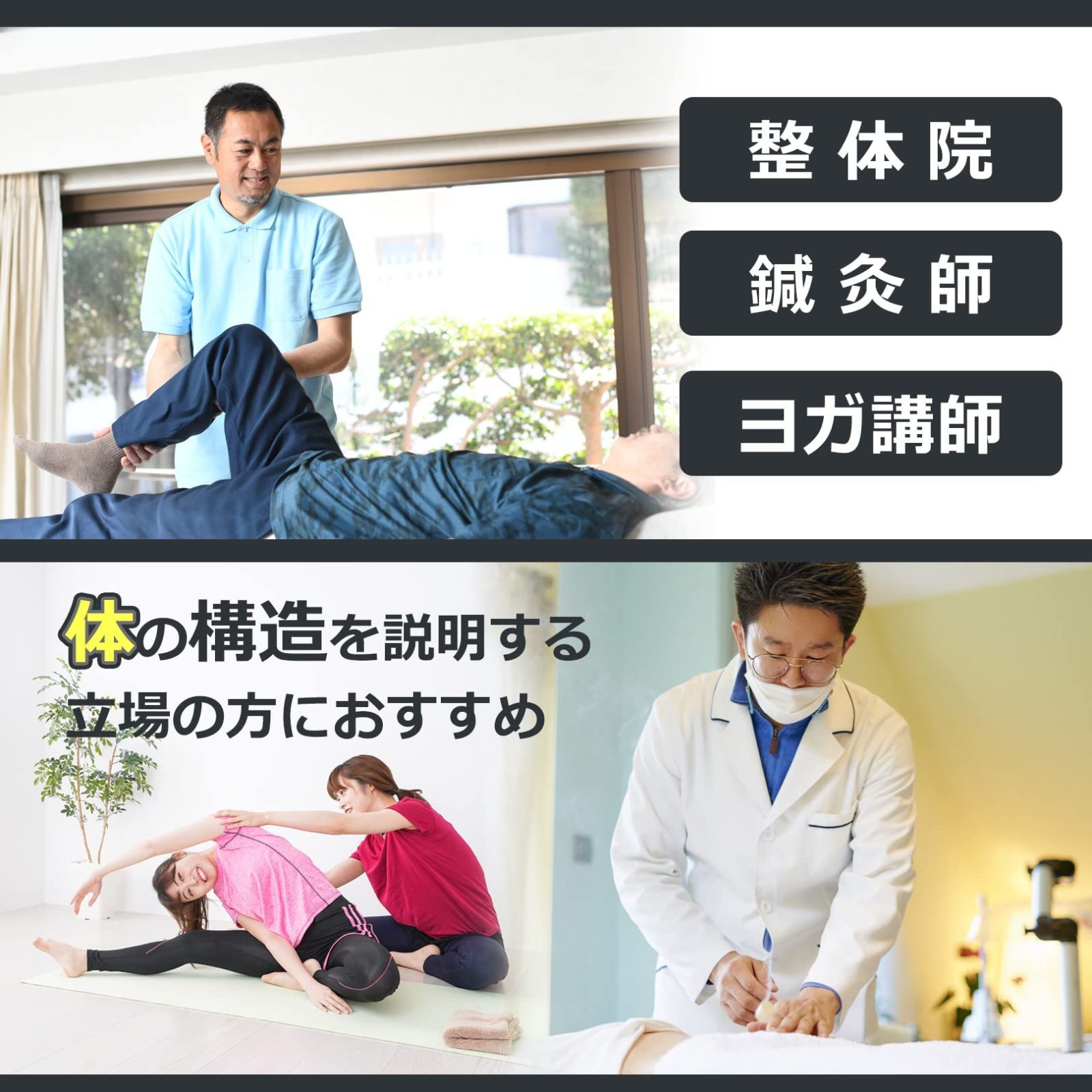 骸骨