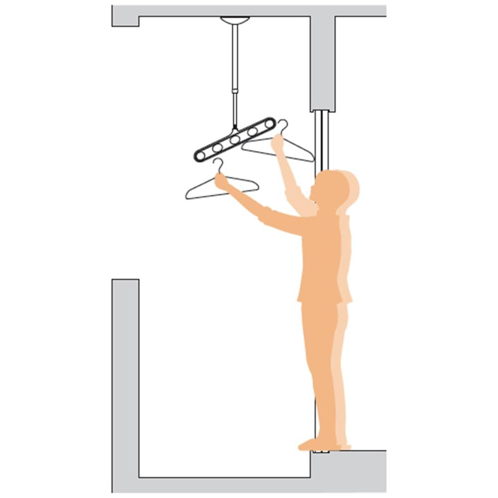 ホスクリーン ZAN