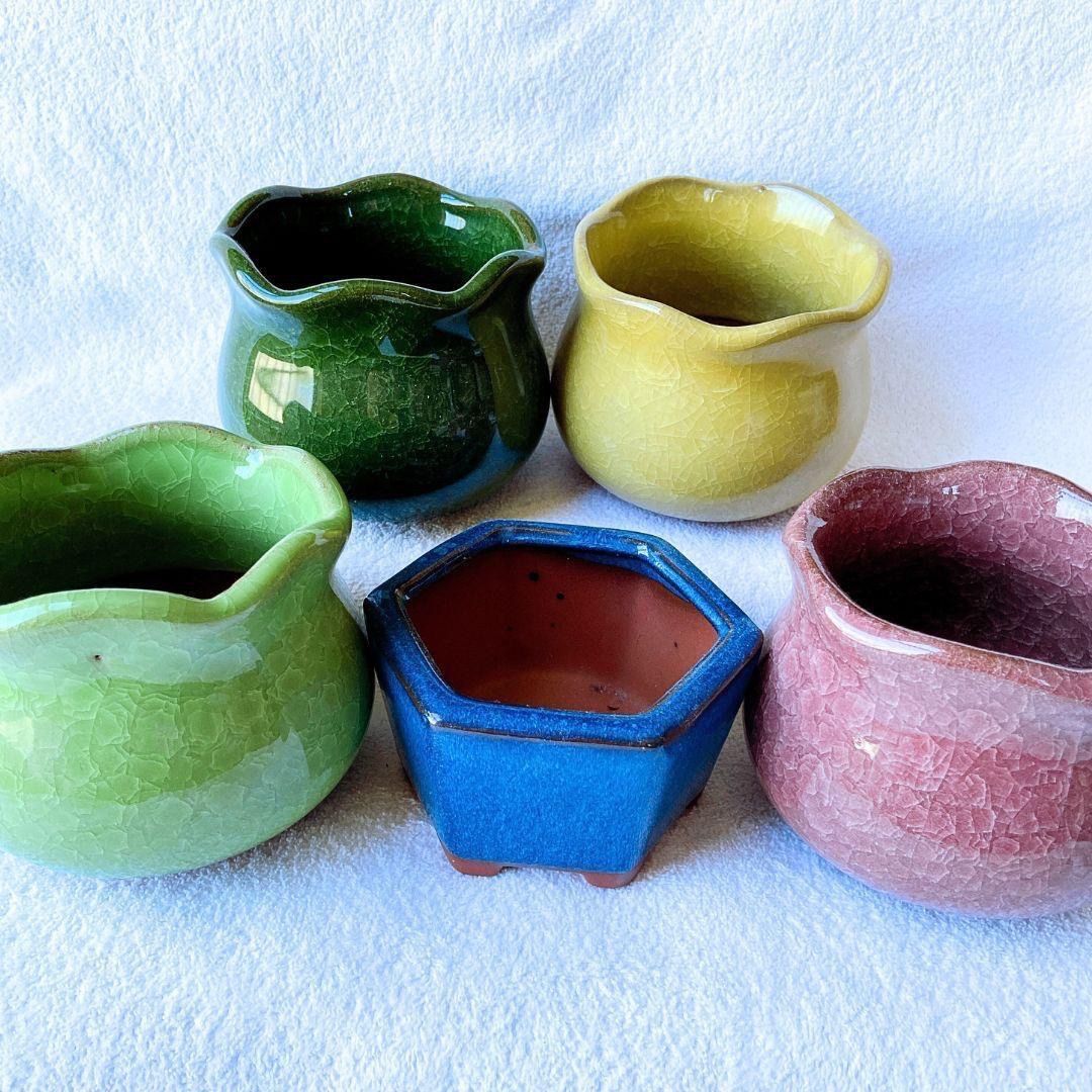 陶器製鉢 5個セット 是好鉢展 1 新緑GW特売品 陶器製植木鉢5個セット