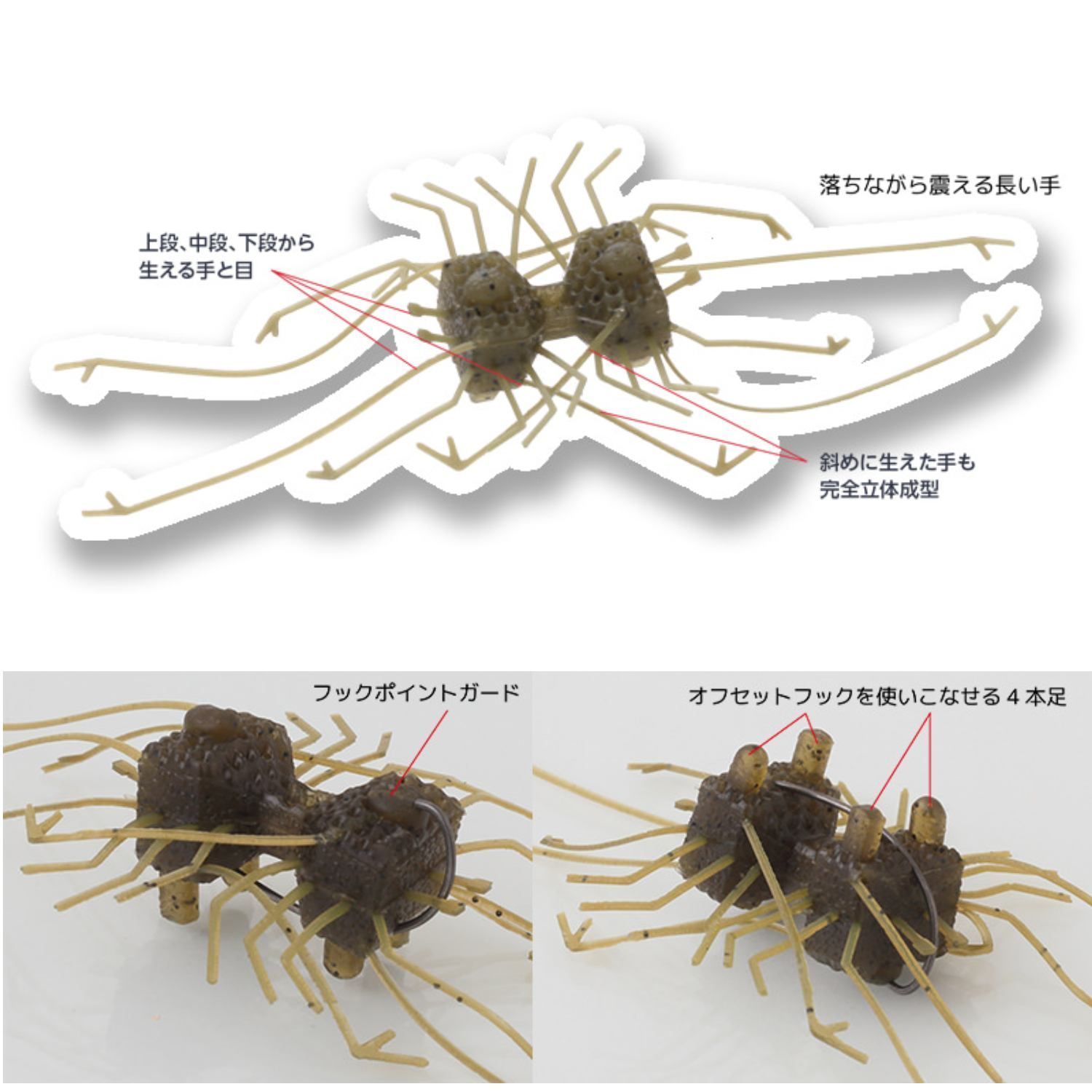 イマカツ ダンベルクラブ 激レア脱皮エビ