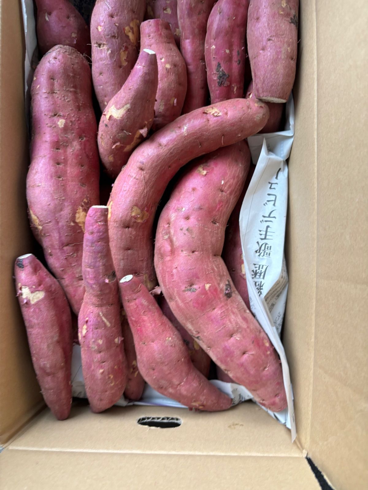 さつまいも MからLサイズ箱込み23キロ
