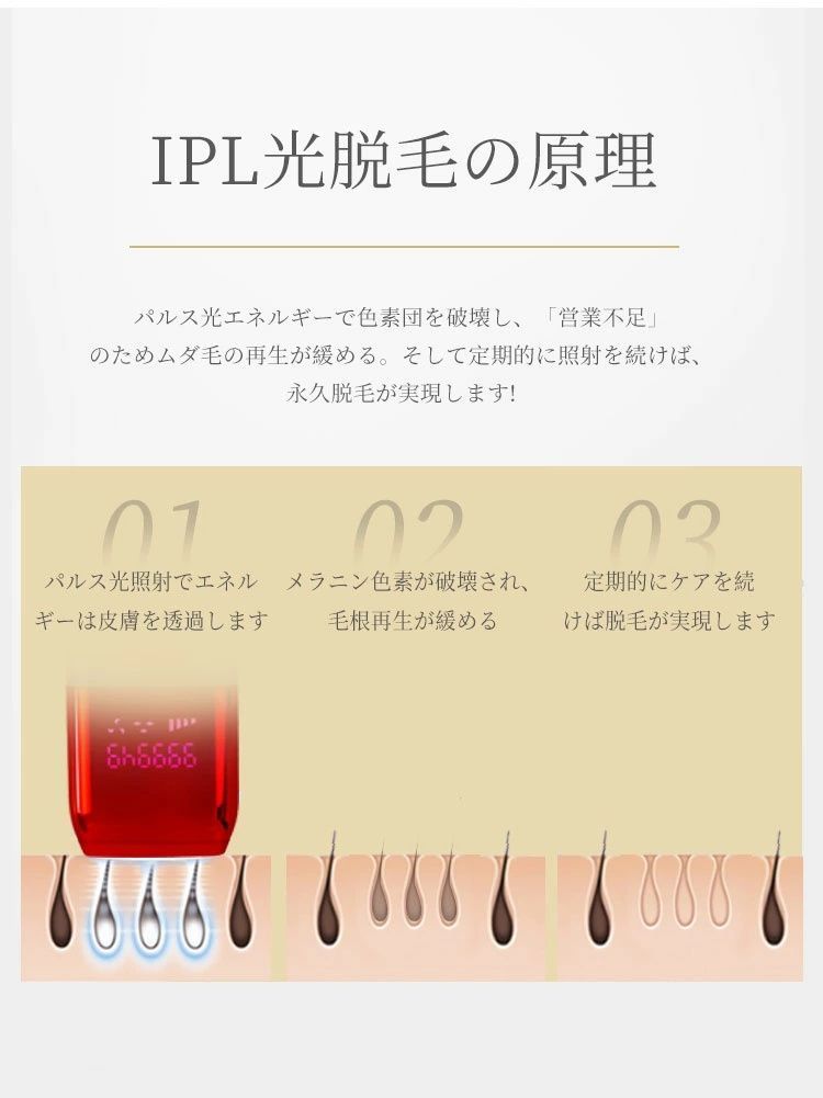 ヒゲ