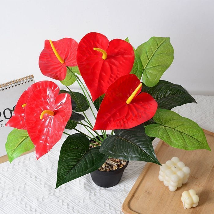 めなり極 2袋 めなり極み 2袋セット 公式【めなり】ビルベリー