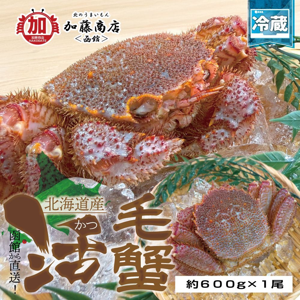函館から直送 北海道産 新鮮 活毛蟹 約600g×1尾 送料別途 冷蔵 新鮮 濃厚 カニ味噌 生きた毛ガニ 活きた毛がに 生蟹 お刺身 生食
