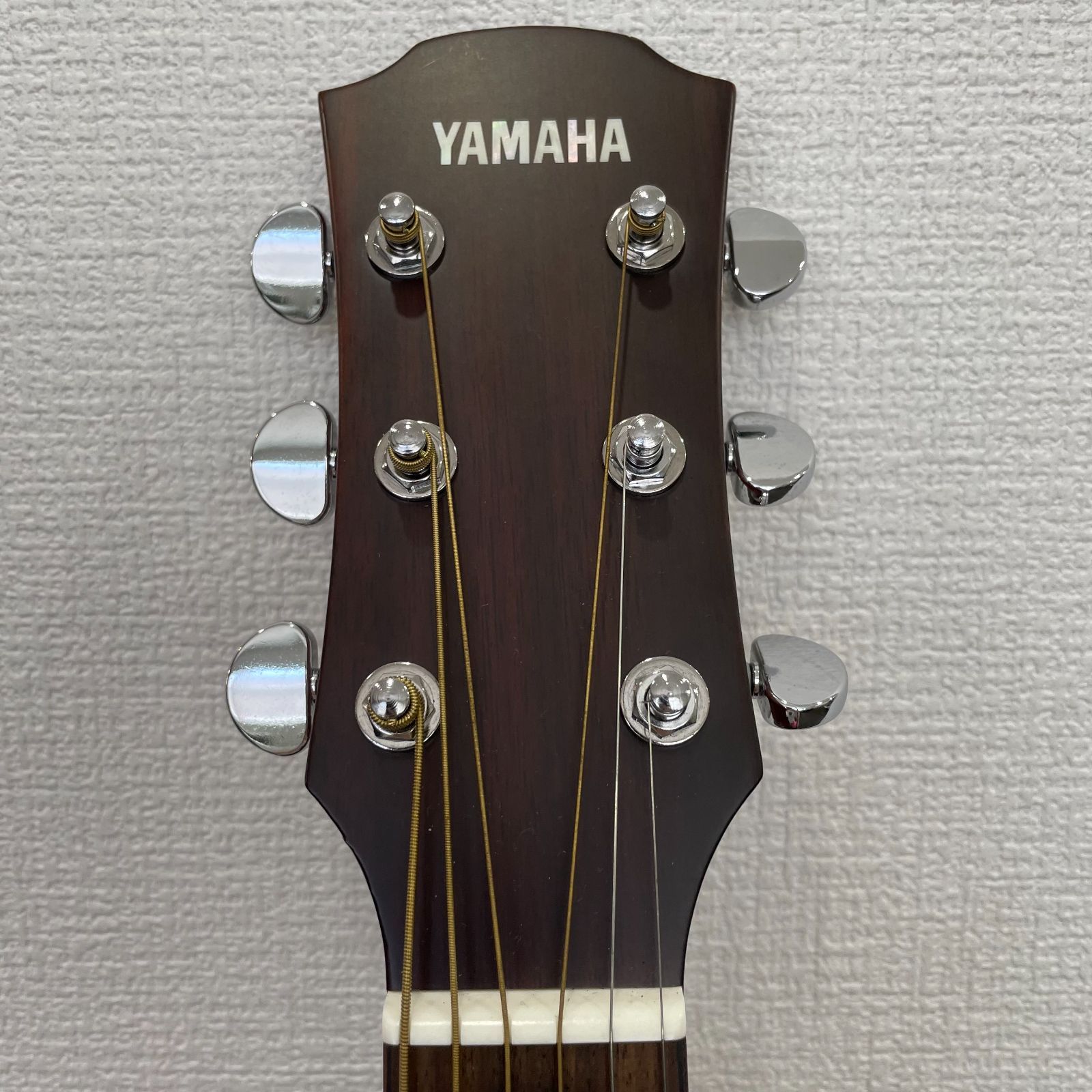 ヤイリノクターン/オール単板/￼2024年3月購入 ヤイリノクターン