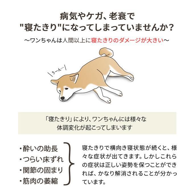 XLサイズ 洗える