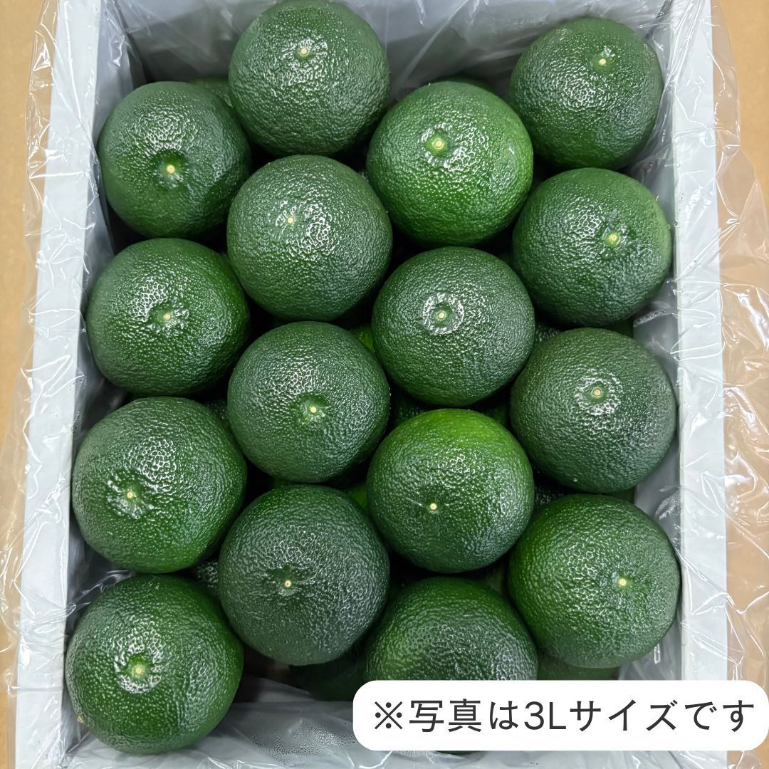 徳島県産】すだち 1kg 秀品 2L-4Lサイズ - メルカリ