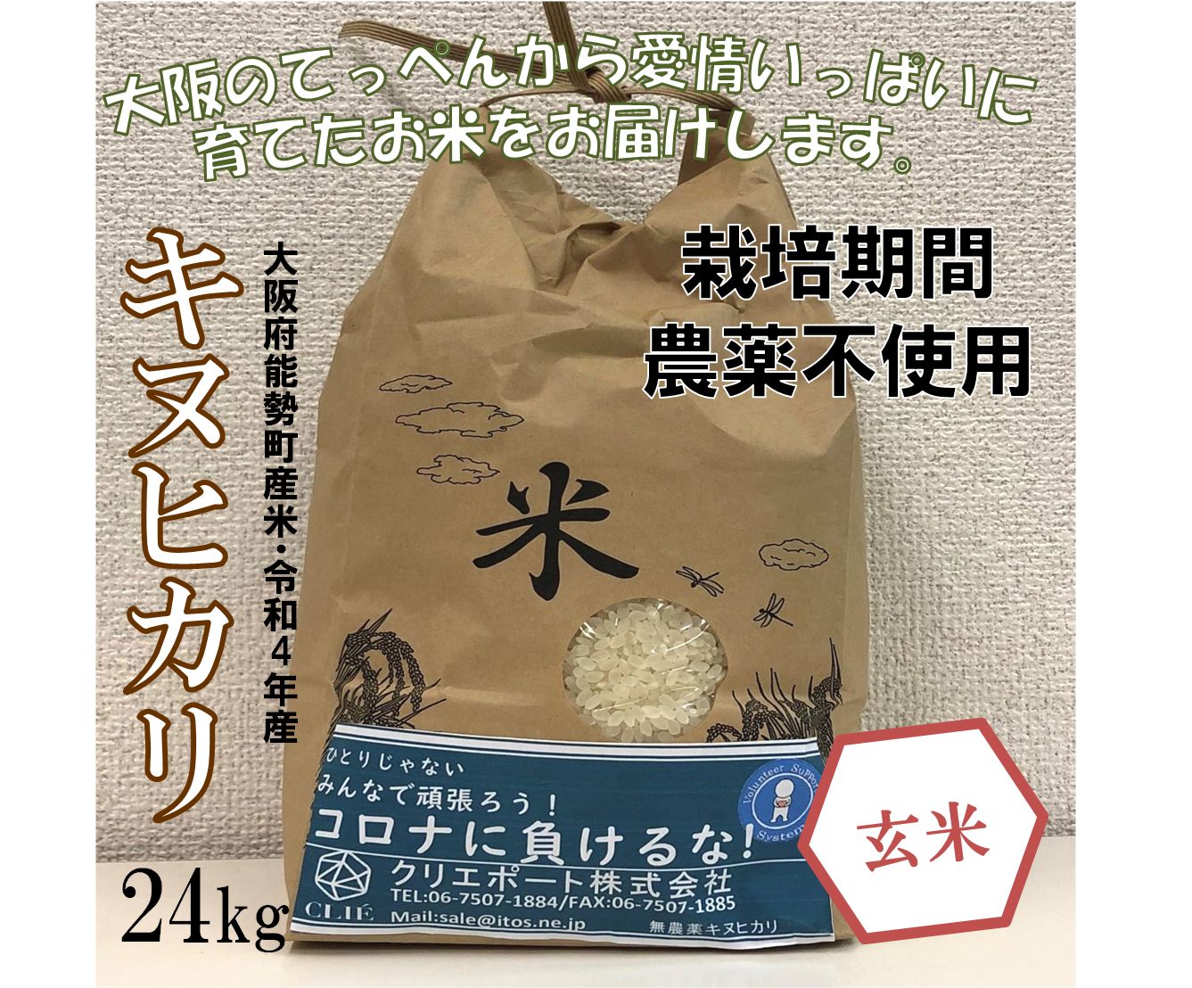 【在庫処分！】【令和４年産/栽培期間農薬不使用】大阪のてっぺんキヌヒカリ玄米24kg