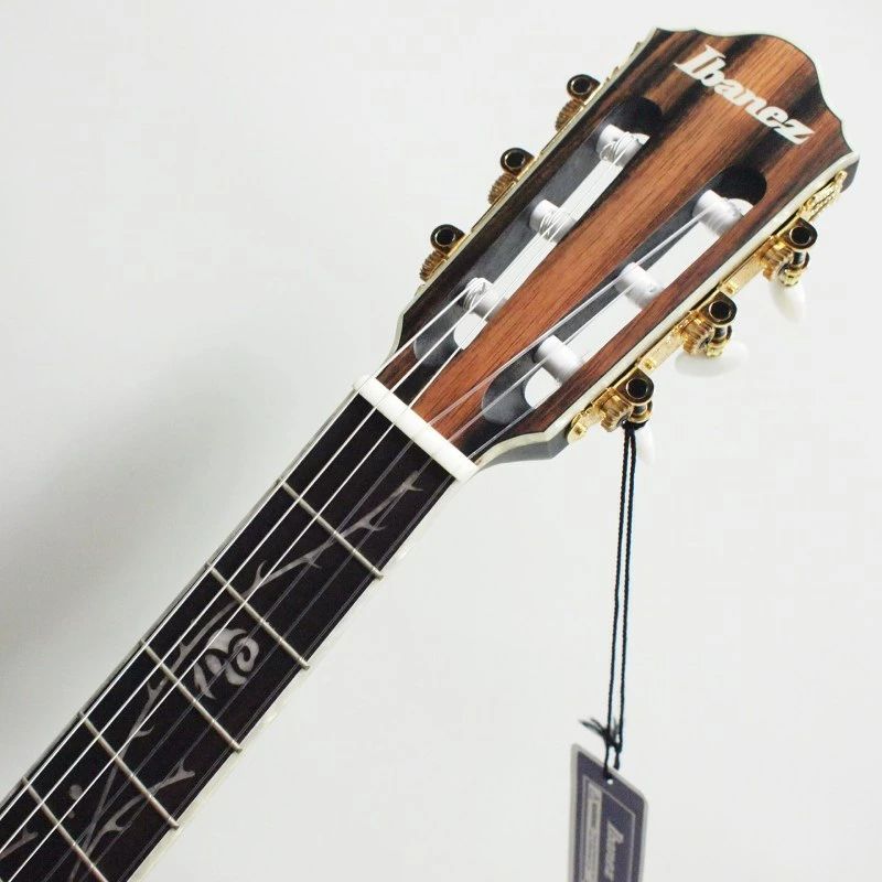 Ibanez TOD10N-TKF Tim Henson Signature Model ティム・ヘンソン