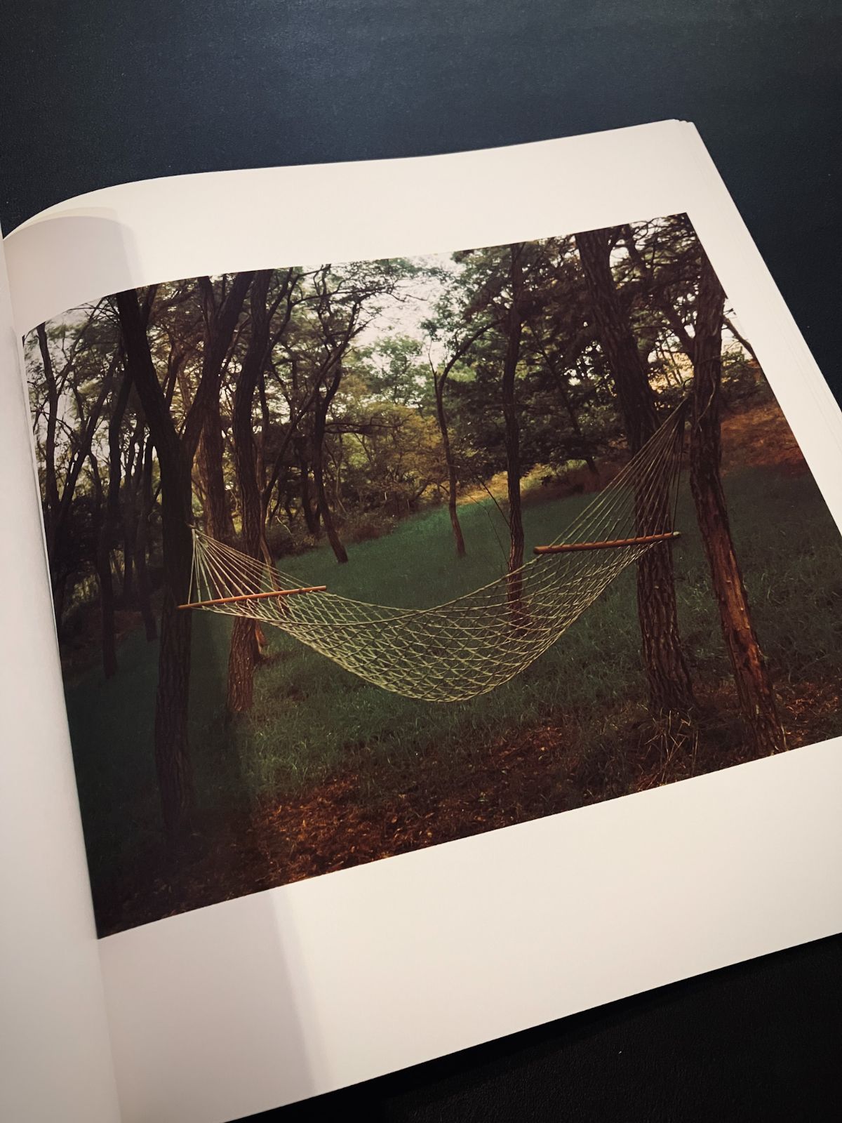 ジョエル・マイヤーウィッツの写真集 A SUMMER'S DAY - メルカリ