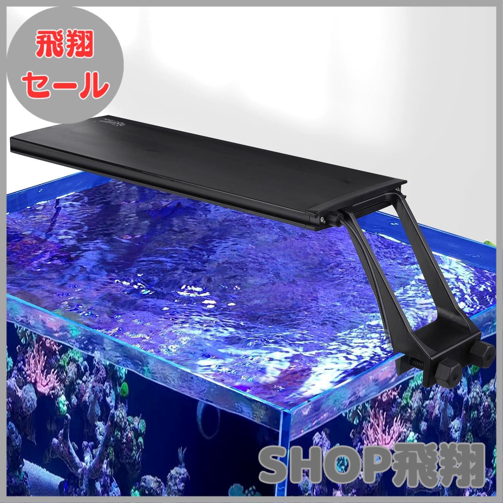 つきのひかり 聴くだけで願いがかなう魔法のメッセージ: お月さまが教えてくれ