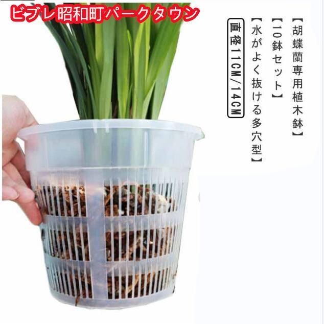 胡蝶蘭 植木鉢 10鉢セット 透明 穴付き 屋内 屋外 胡蝶蘭の植え