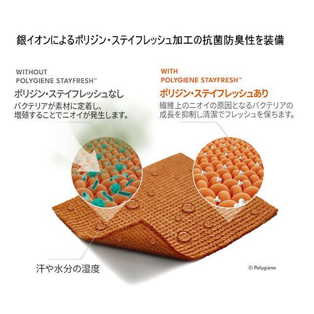 ザノースフェイス