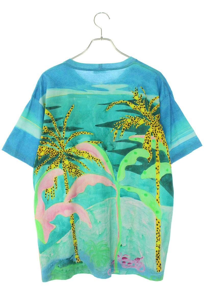 セリーヌバイエディスリマン 21SS 2X651821M ×タイソン・リーダー  