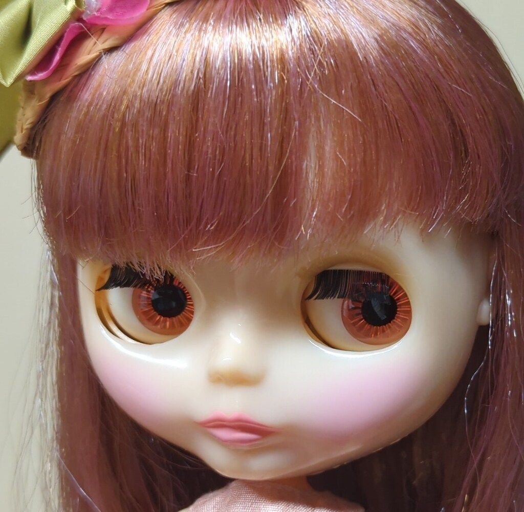 ヴェロニカレース