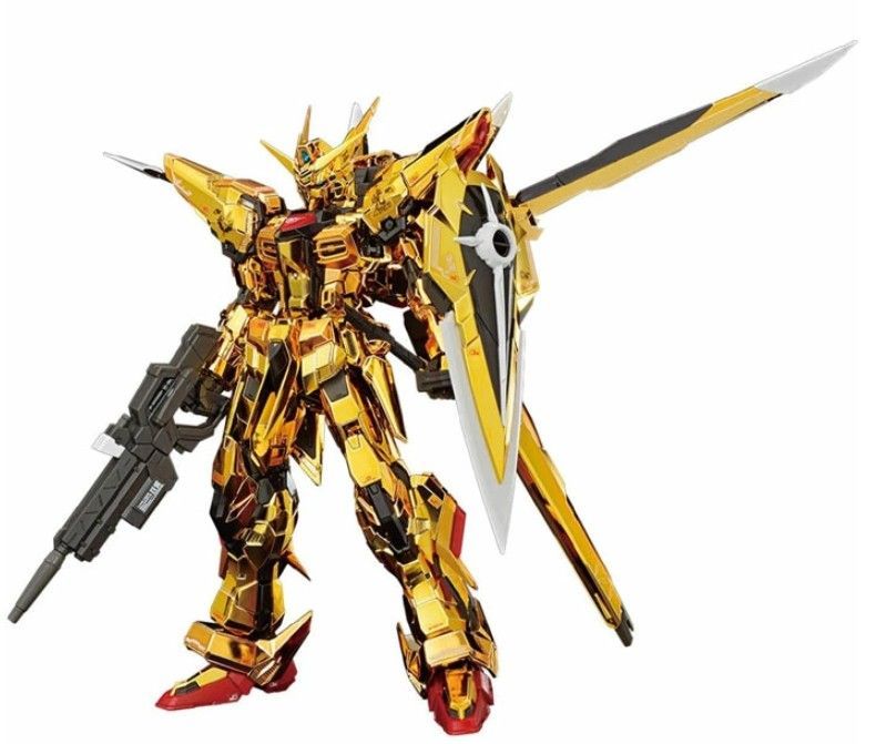 RG 機動戦士ガンダムSEED DESTINY アカツキガンダム オオワシ装備 1 144スケール