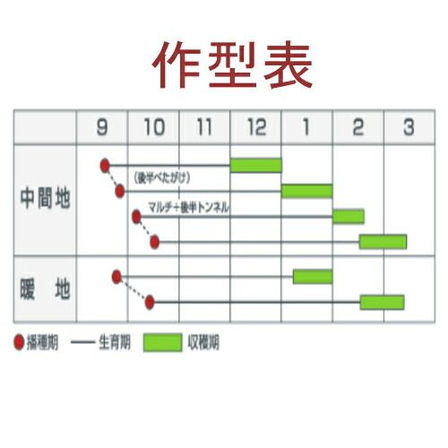 入荷次第出荷 カネコ種苗 YR寒ざくら ペレット5000粒