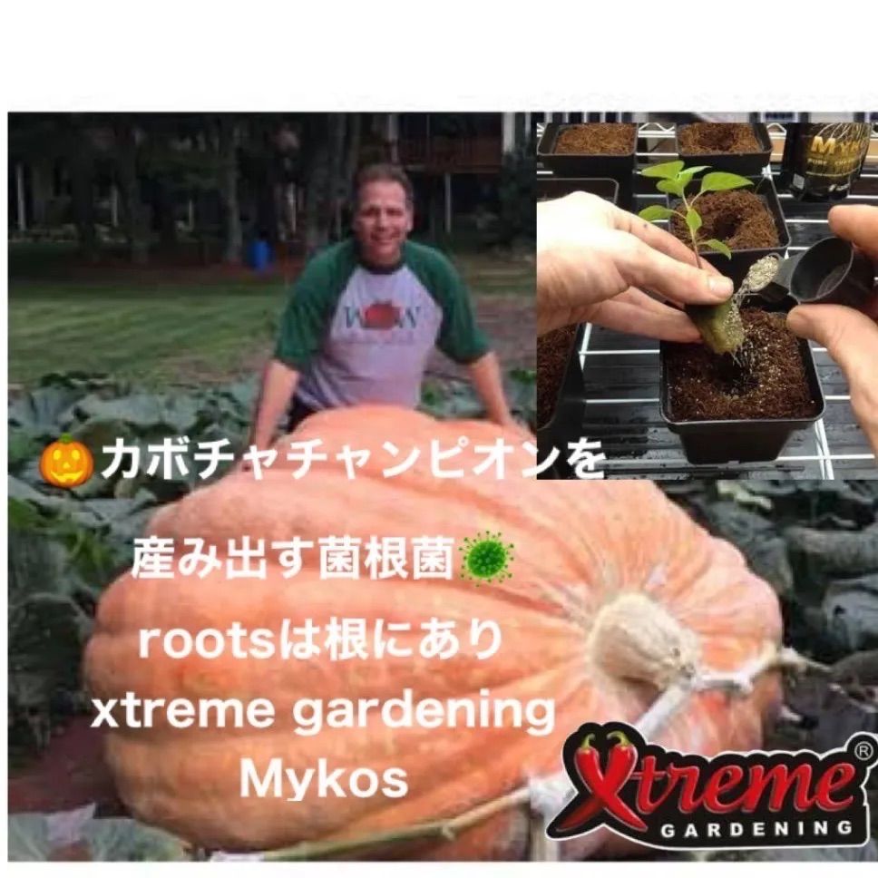 Mykos （マイコス）1kg - 肥料、薬品