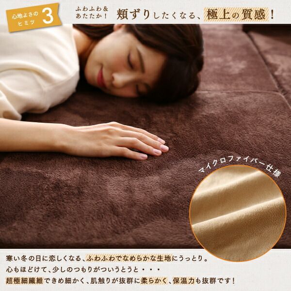 ラグ カバーが洗えて年中清潔