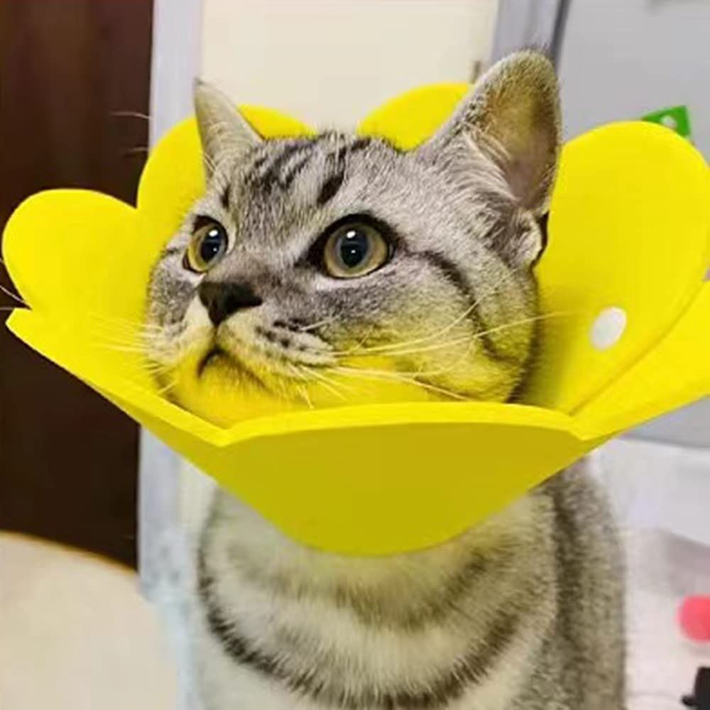 エリザベスカラー 猫用 犬用 ソフト 着脱便利 傷舐め防止 Amazon | Alien Pet エリザベスカラー 猫用 犬用 ソフト 着脱