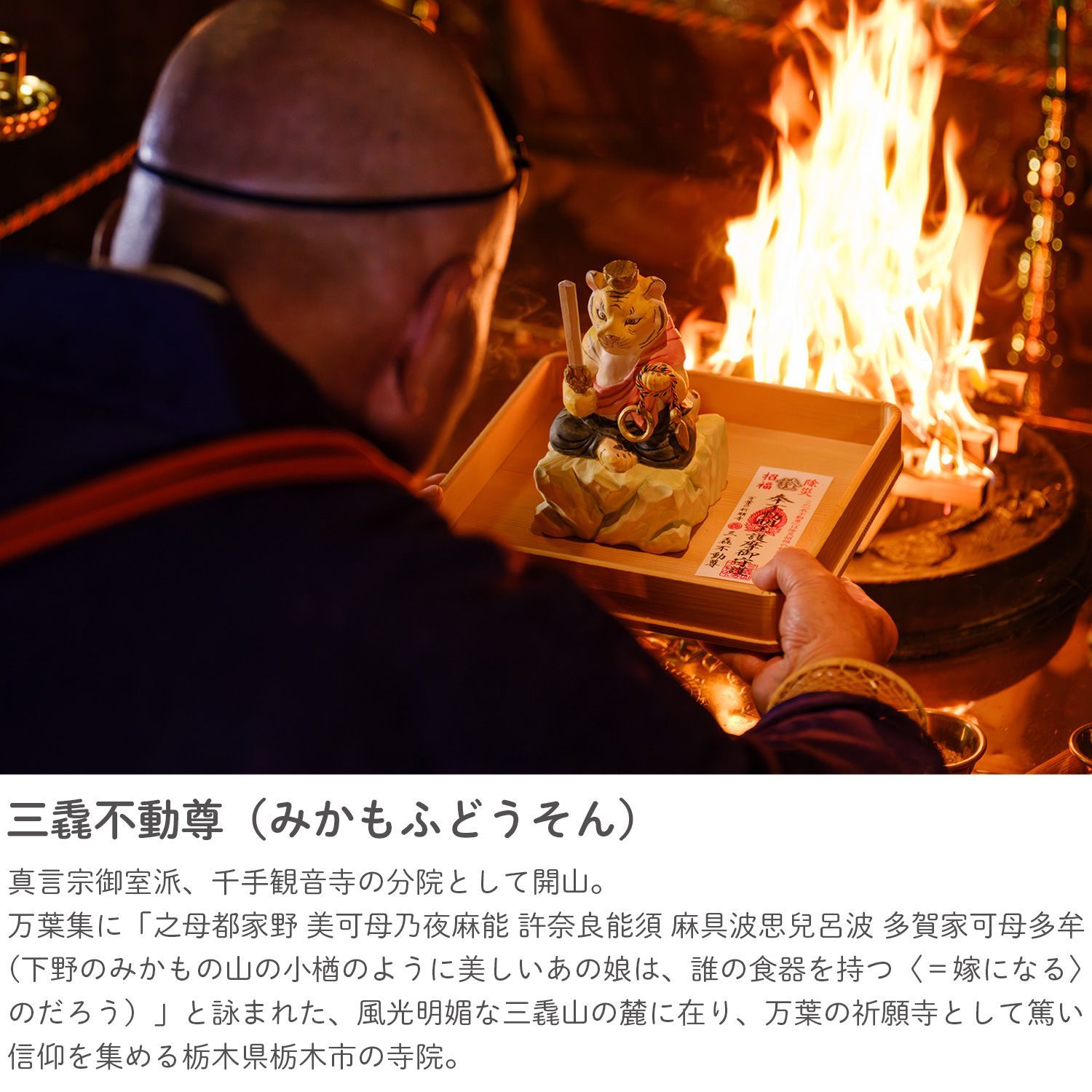 驚くほどの メーカー直送 干支守り 厄除 寅不動尊 大 三毳不動尊 御祈祷 ‐ 寅年 干支飾り 十二支守り 仏屋さかい 不動尊 不動明王 虎 寅 トラ とら 除災 招福 仏像 MORITA T00561 全国送料無料。