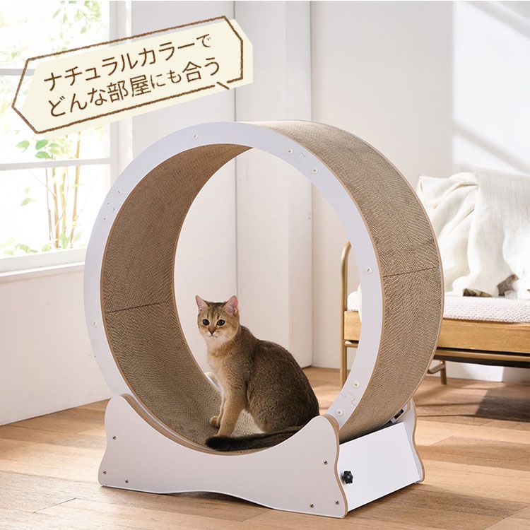 キャットランナー ルームランナー