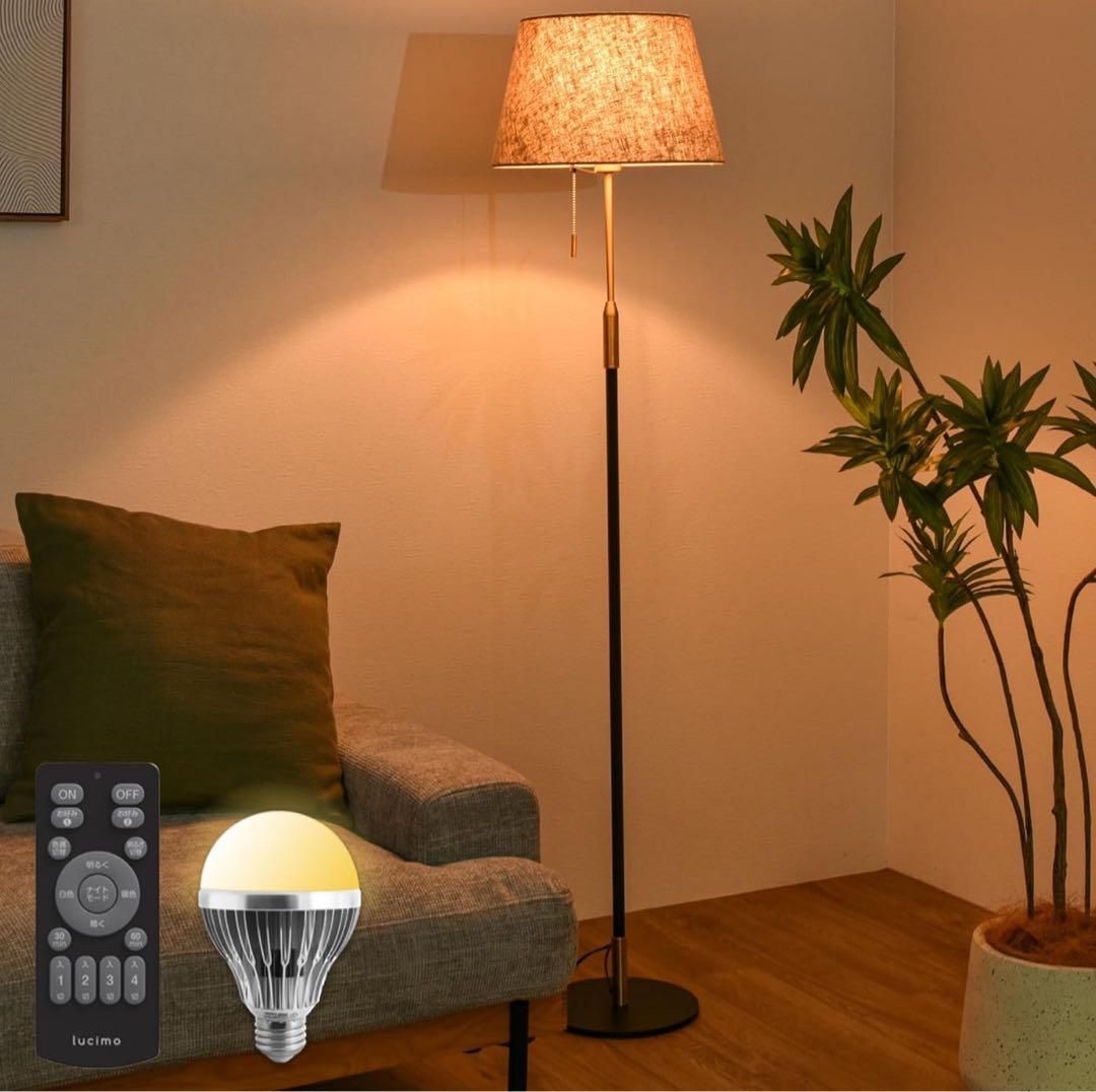 最新 ①旧約聖書の人びと 全4巻揃 F.ジェイムズ ②イエス時代の日常