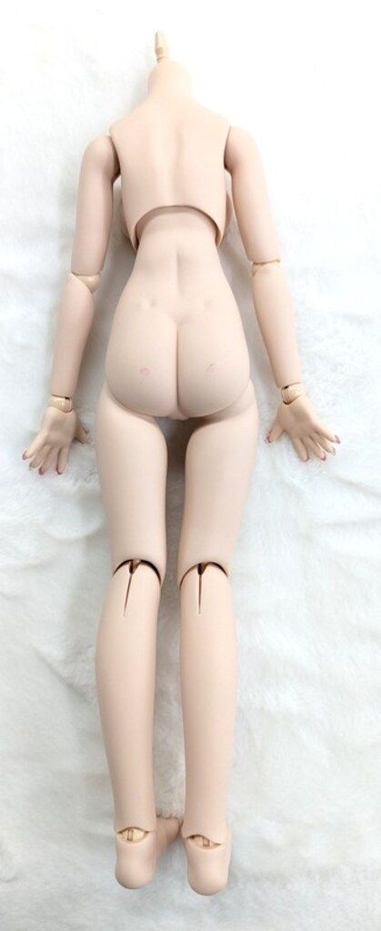MDDベースボディ3 L胸