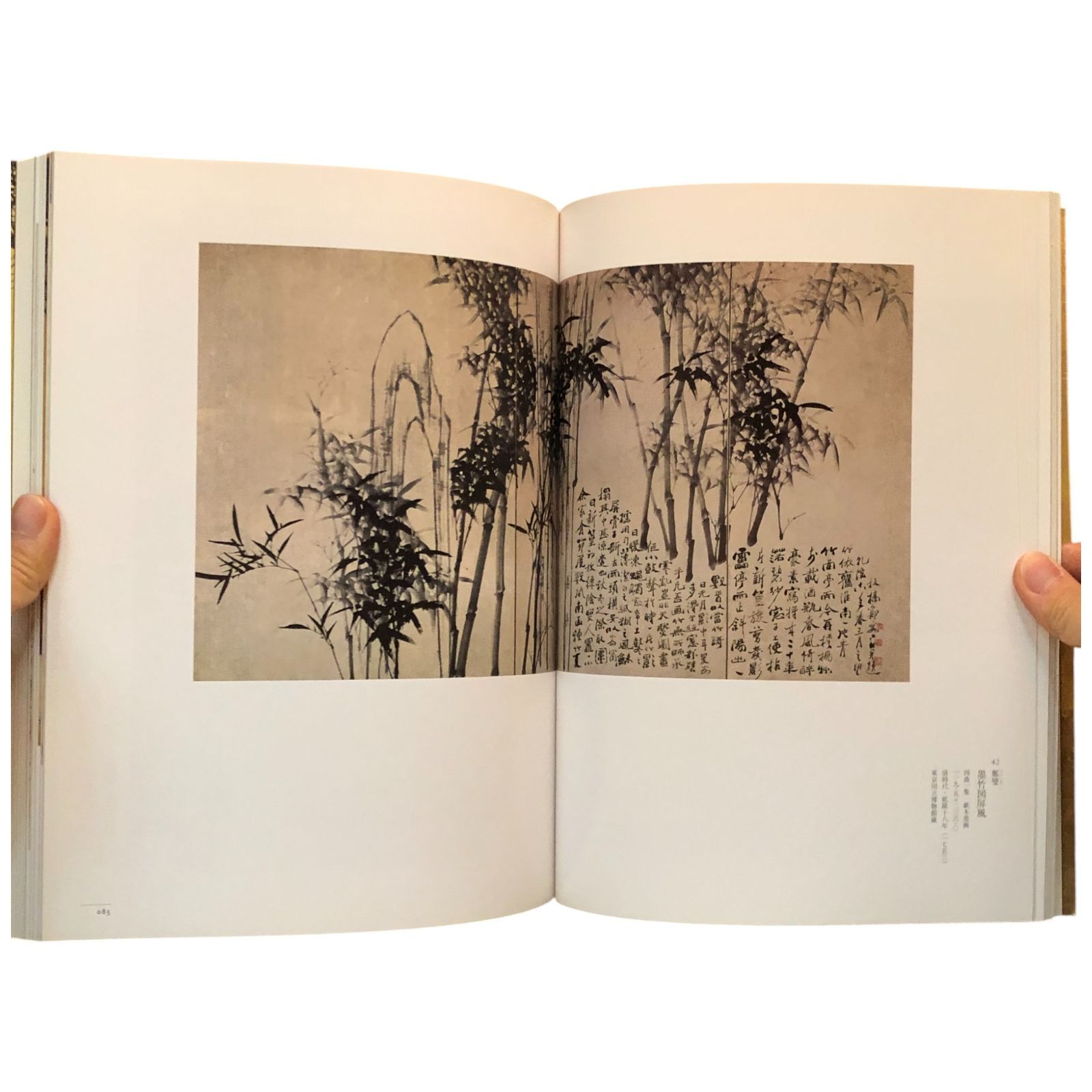 円山応挙展 江戸時代絵画 真の実力者 