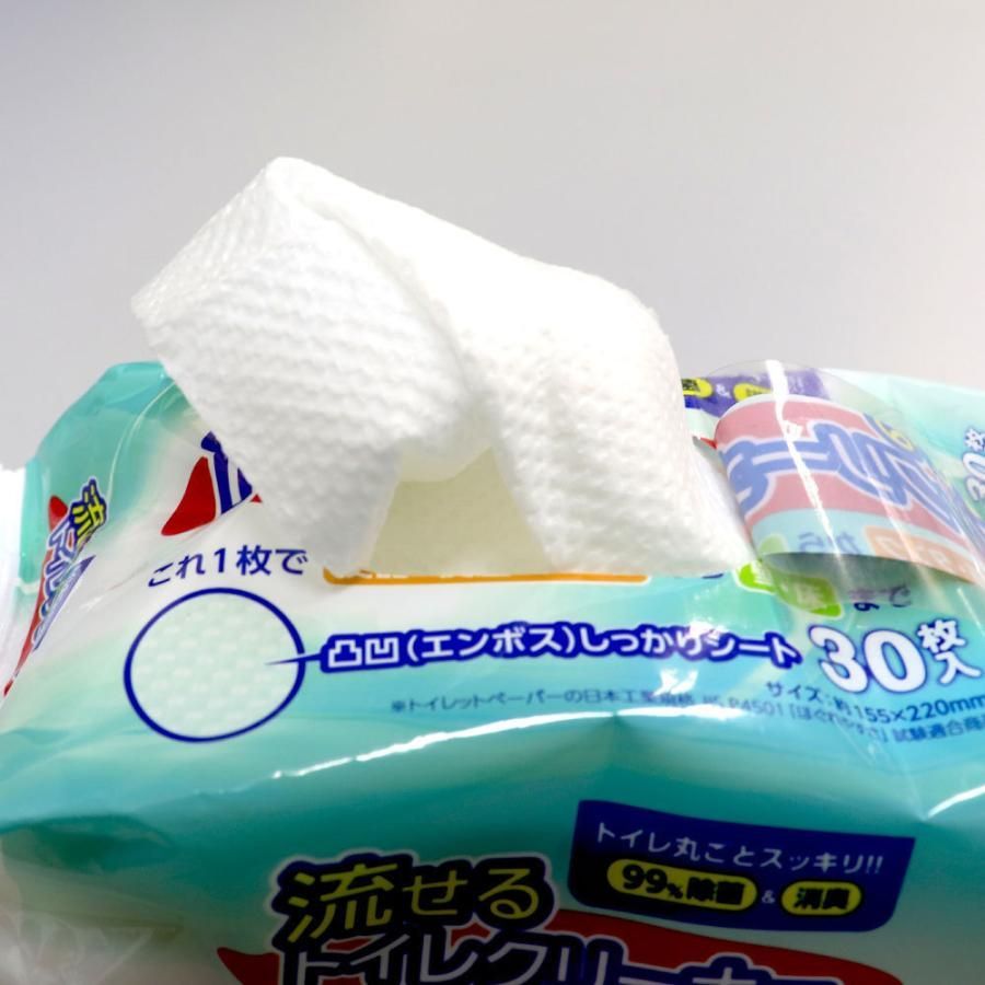 トイレ掃除