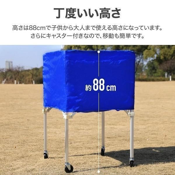 バレー バスケ