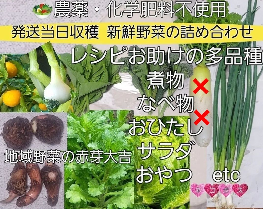 農薬不使用＊新鮮野菜＊採れたて4種類の詰め合わせ＊ブロッコリー多め