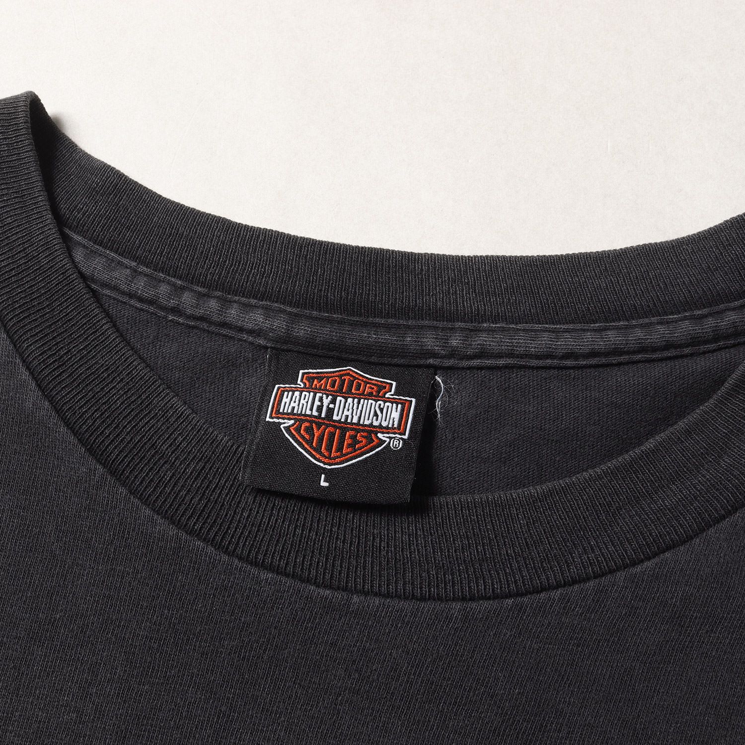 HARLEY-DAVIDSON ハーレーダビッドソン Tシャツ サイズ:L 00s HOLOUBEK 